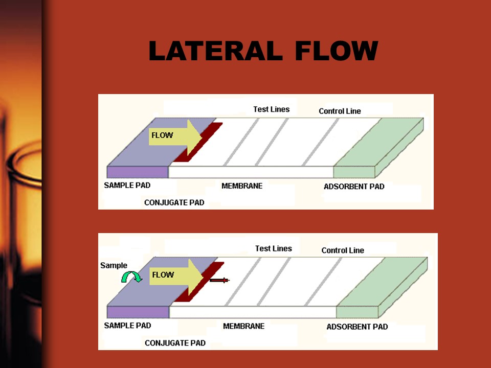lateral-flow